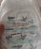 碧芭宝贝盛夏光年Pro拉拉裤XXL码28片(≥15kg)学步裤尿不湿夏天超薄透气 实拍图