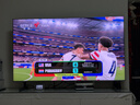 TCL【价保618】SQD-MiniLED电视 65Q10M 65英寸 100%全局高色域 超级蝶翼华曜屏 能效补贴 实拍图