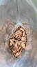 福茗源养生茶 牛蒡根茶 特级品质黄金牛蒡茶花草茶牛螃茶牛膀牛棒250g 实拍图