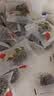 福东海 阿胶蜜枣【两斤】金丝去核红枣大枣零食蜜饯送礼送端午节礼物 实拍图