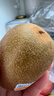 佳沛（zespri）新西兰 金果25-27粒特大单果124-146g 端午礼物水果礼盒 猕猴桃 实拍图