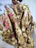 新中阿山东嫩姜新鲜仔姜子姜红芽生姜现挖姜芽糖醋姜泡姜蔬菜非小黄姜 500g丨山东嫩姜产地直发 实拍图