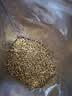 福茗源养生茶 黄苦荞茶500g 特级品质大凉山花草茶全胚芽全颗粒荞麦茶 实拍图