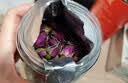 九芝堂玫瑰花100g红玫瑰花茶重瓣平阴大朵无硫养生茶搭菊花礼盒花草茶 实拍图