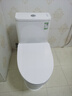 九牧（JOMOO）11173-2-1/31KD-3大力神家用马桶虹吸抗菌节水洁具305坑距 实拍图