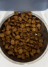皇家英短成猫粮 BS34 通用粮 12月以上 4.5KG 实拍图