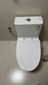 九牧（JOMOO）11173-2-1/31KD-3大力神家用马桶虹吸抗菌节水洁具305坑距 实拍图