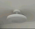 雷士（NVC）枕边风风扇灯一体吊扇灯餐厅卧室全光谱1级能效IP65三防包安装 实拍图