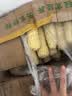 相宜本草红景天光采净透洁面膏100g 洗面奶净油亮肤 温和滋润 实拍图