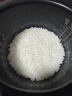 虎牌（TIGER）电饭煲 Pro 日本迷你小型可变压力IH加热土锅涂层压力电饭煲情侣1-2人1.8L JPD-A06C 实拍图