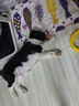 憨憨乐园狗狗零食磨牙棒补钙奶棒缠鸡肉咬胶幼犬专用绕钙奶棒450g一整条 实拍图