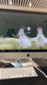 苹果 Apple imac 二手苹果一体机电脑台式机 21.5/27英寸 4K/5K 办公设计剪辑 京选电脑 | 一机一检 95新27寸【5K独显4G】E92七代16-512 实拍图