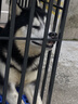 朗亲狗粮金毛拉布拉多泰迪成犬专用小中大型犬通用型狗干粮20kg 实拍图