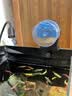 坤宁王自动喂鱼器鱼缸自动喂食器小型鱼金鱼自动投食器定时喂鱼器 实拍图