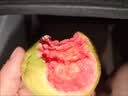 探味君 广西红心芭乐番石榴 新鲜水果生鲜健康轻食带箱 软糯红心芭乐净重3斤 实拍图