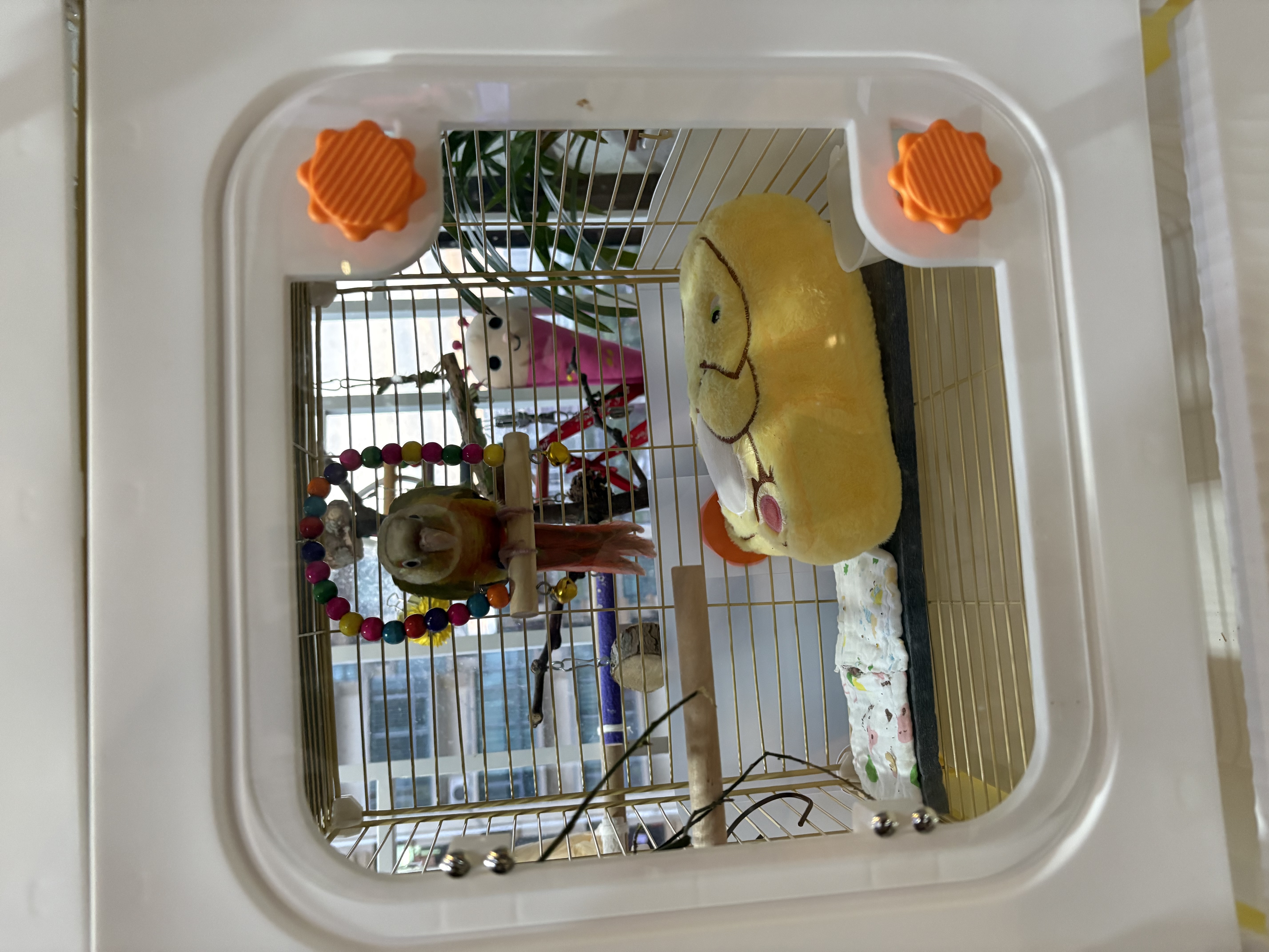 宠趣汇鸟笼易清理鹦鹉可用鸟笼八哥大号透明豪华鸟笼别墅家用造景 中号36*36*95-两层两室-赠清洁袋 玩乐10件套：基础+秋千+云梯+鸟窝 实拍图