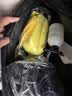 志高（CHIGO）高压洗车水枪无线锂电清洗机家用便携手持多功能神器电动泵L5 实拍图