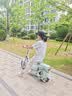 飞鸽电动自行车 E75Plus新国标电动车2026【敦煌联名】80KM长续航48V21Ah铅酸电池智能电瓶车可上牌 实拍图