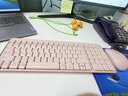 罗技（Logitech）MK251无线蓝牙键盘鼠标套装 办公商务笔记本电脑 数字键盘99键粉色键鼠套装（K251键盘+M196鼠标） 实拍图