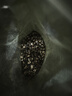 福茗源茉莉花茶龙珠 浓香型2026新茶绣球花茶叶自己喝口粮茶袋装250g 实拍图