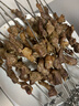 法诗缇（Fastee）烤串机自动旋转烧烤炉电烤炉烧烤架电烧烤炉家用无烟烤串炉烤肉机烤羊肉串机 FST-46A 实拍图