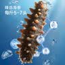 京东京造大连鲜食海参王净重1kg 10-14只固形物90%礼盒 即食海参礼盒 实拍图