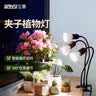 三思植物补光灯仿太阳全光谱 全光谱植物灯 盆栽花卉-30W三头分区补光 实拍图