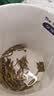 张一元茉莉花茶叶毛尖浓香型老北京伴手礼品春新口粮茶特种200g金罐装 实拍图