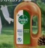 滴露（Dettol）消毒液洗衣衣物消毒水750mL 除螨杀菌混洗无忧 家居地板消毒 非84 实拍图