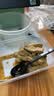 一次性餐盒带盖加厚家用饭盒便当盒长方形圆形透明外卖打包盒小包 750方形20个装 实拍图