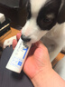 金盾药业皮特芬肽护力猫藓狗癣狗狗皮肤病喷雾宠物真菌感染抑菌瘙痒100ml 实拍图