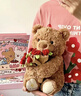 威尔通（WELTSTON）毛绒玩具玩偶公仔泰迪熊抱枕布娃娃送女孩生日礼物礼品玫瑰花小熊 实拍图