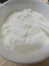 小熊（Bear）酸奶机 家用全自动希腊酸奶奶酪米酒机酸奶发酵菌玻璃内胆陶瓷分杯 SNJ-C10V3 实拍图