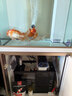 森森（SUNSUN）大型鱼缸底过滤水族箱客厅家用落地玻璃生态金鱼缸 【实时温显+灯控】珍珠白 0.6米长35cm宽 实拍图