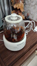 小质养生壶1.2L全玻璃花茶壶0胶水0金属恒温煮茶器办公室热牛奶神器保温壶家用烧水壶电热水壶 YSH13 实拍图