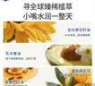 戴·可·思儿童元气润唇膏3.6g 奶茶系列宝宝护唇膏杨枝甘露味 保湿滋润 实拍图