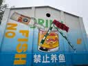 FILA斐乐蕨草凉鞋｜运动凉鞋夏季男鞋透气凉拖厚底运动鞋子 实拍图