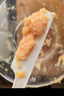 九阳（Joyoung）绞肉机绞馅机碎肉机肉馅蒜蓉机绞肉机2L S18-LA268 晒单实拍图