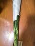 【富贵竹】广州发货水培植物好养懒人节节高供佛办公室内礼物七夕 富贵竹70cm10支 实拍图