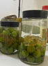 九江双蒸米香型白酒 自饮泡酒米酒38度桶装纯粮食酒2.5L散酒水果青梅泡酒 实拍图