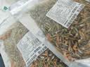 渔欣仙小鱼小虾干货农家自制小鱼虾干火焙小鱼干小虾米干湖南特产下饭菜 小鱼小虾500g 实拍图