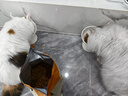 美士麦克斯成猫天然鲜肉猫粮1.8kg鸡肉味布偶蓝猫橘猫加菲英短全价粮 实拍图