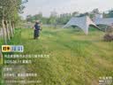 东成汽油割草机EQCG427-01二冲程汽油割灌机打草机斜挎式割草机 实拍图