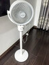 艾美特（AIRMATE）【小暴风】空气循环扇大风量摇头电风扇家用台式落地扇升级加高换气轻音柔风小风扇 FA18-X115 实拍图
