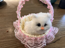 亦趣仿真猫咪玩偶会叫提篮小猫咪毛绒玩具篮子猫女孩生日六一儿童礼物 提篮粉色蕾丝白猫带叫声 实拍图
