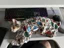欢宠网宠物裹猫布包猫自粘猫咪包裹百贴固定器剪指甲防抓挠防跑魔术神器 实拍图