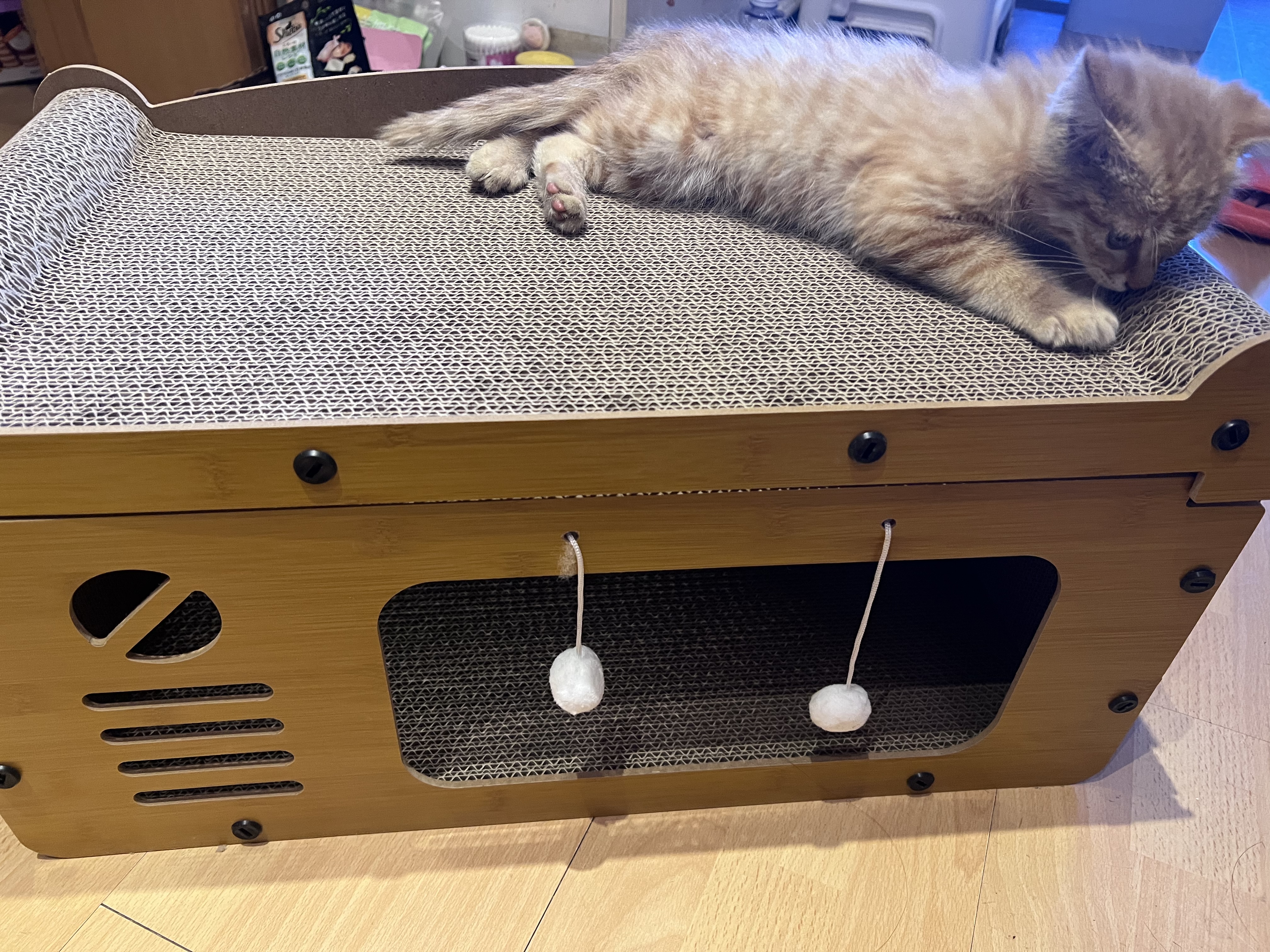疯狂的主人猫抓板耐磨不掉屑剑麻猫窝猫房子替换芯瓦楞纸猫屋立式贴墙猫玩具 实拍图