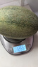 春福乐 头茬哈密瓜水果网纹蜜瓜香甜多汁海南当季整箱现摘甜瓜西州大果 5斤严选装【1-3个瓜】净重4.5斤 晒单实拍图