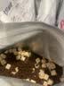 喵梵思白袋子冻干猫粮全价营养鸡肉幼猫成猫全阶段通用主粮营养长肉 5.0白袋强壮1.5kg【46%粗蛋白】 2个月及以上 实拍图