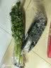 蘸酱小葱约150g 实拍图
